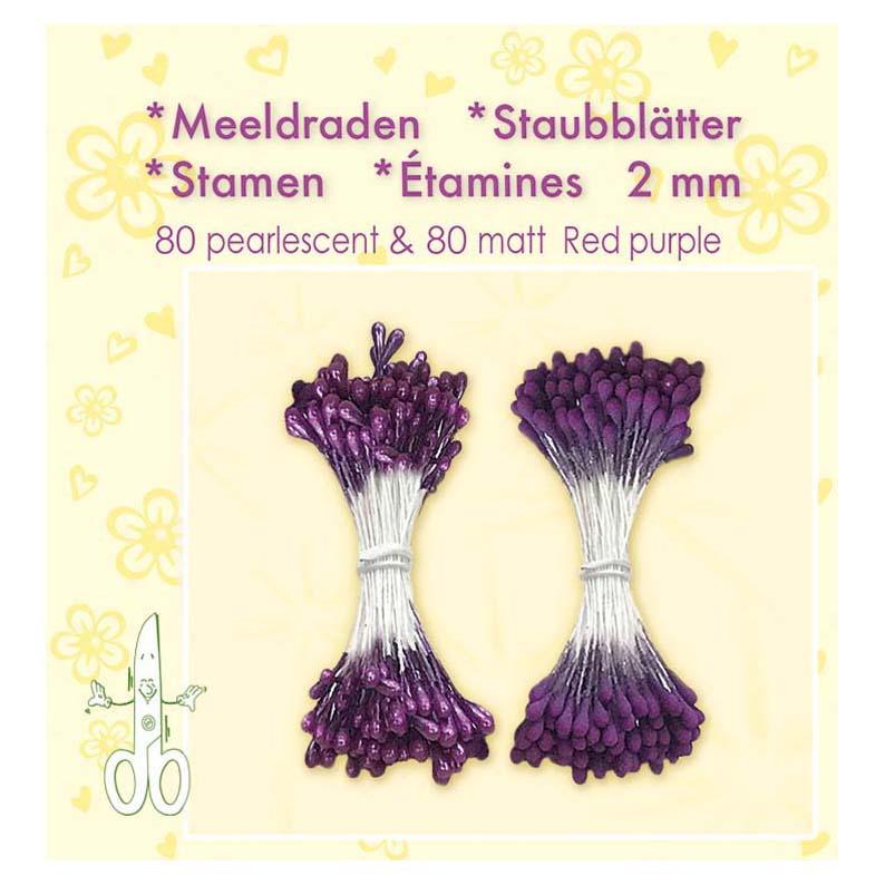 Stamen - Red Purple
