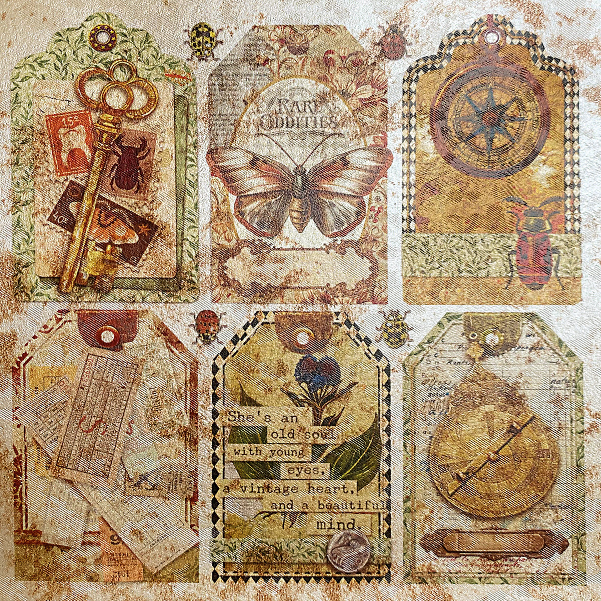 Deluxe Cabinet Of Curiosities Paper Pearl-Copper 6"x6" 5/Pkg