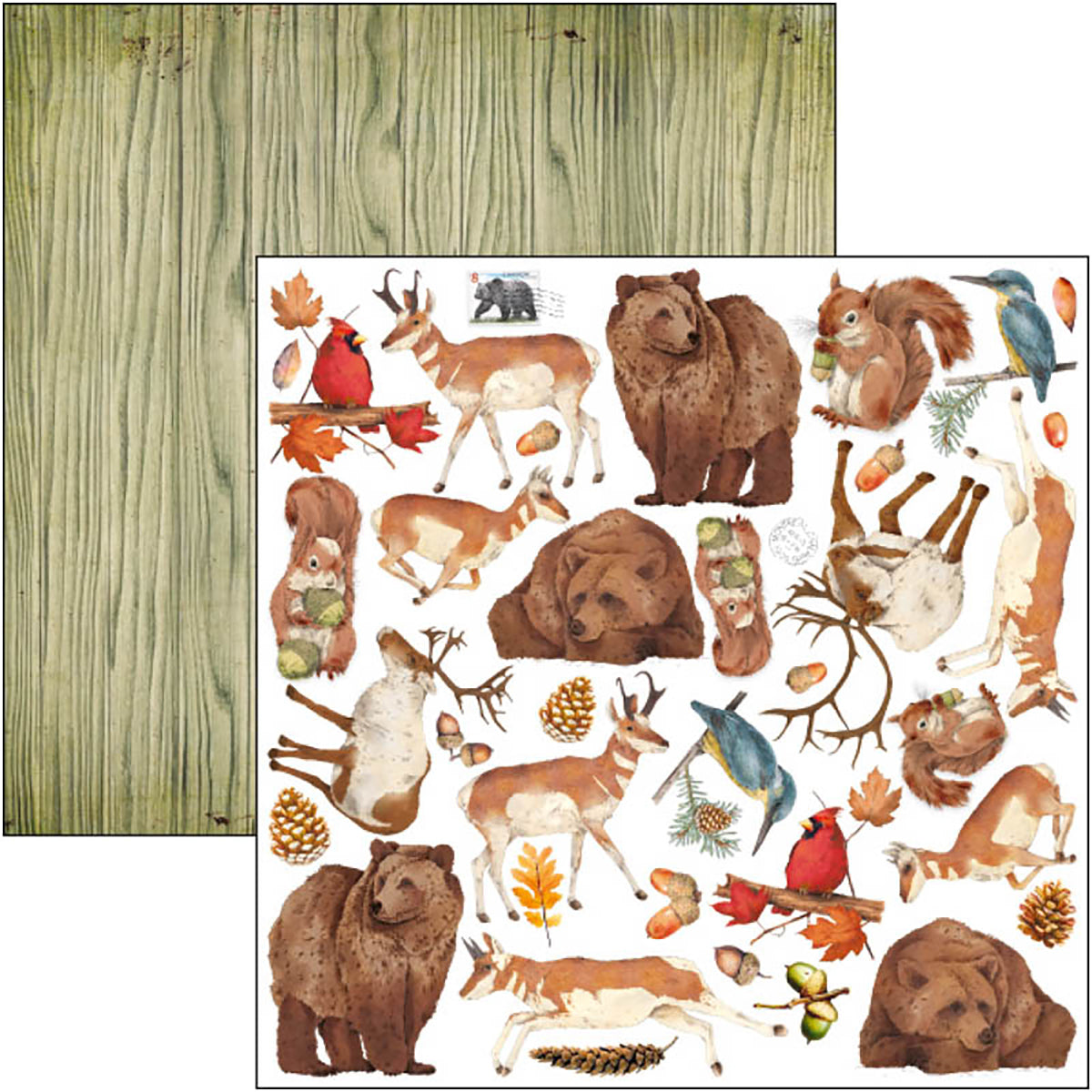 Ciao Bella Into The Wild Paper Pad 8"x8" 12/Pkg