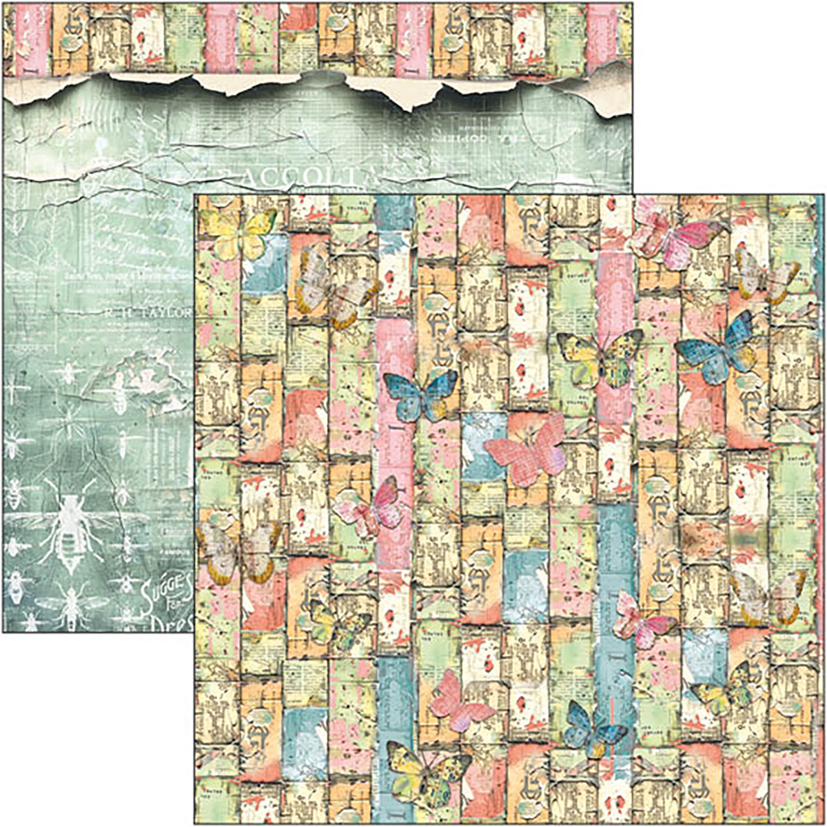 Majestic Dream Pad 8"x8" 12/Pkg