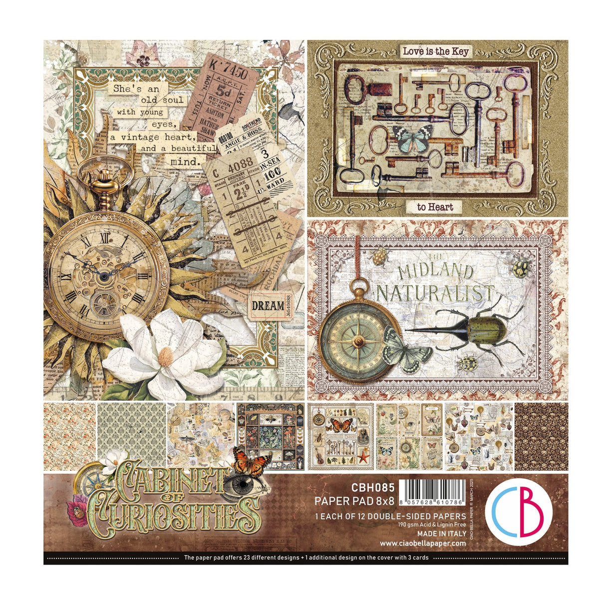 Cabinet Of Curiosities Pad 8"x8" 12/Pkg