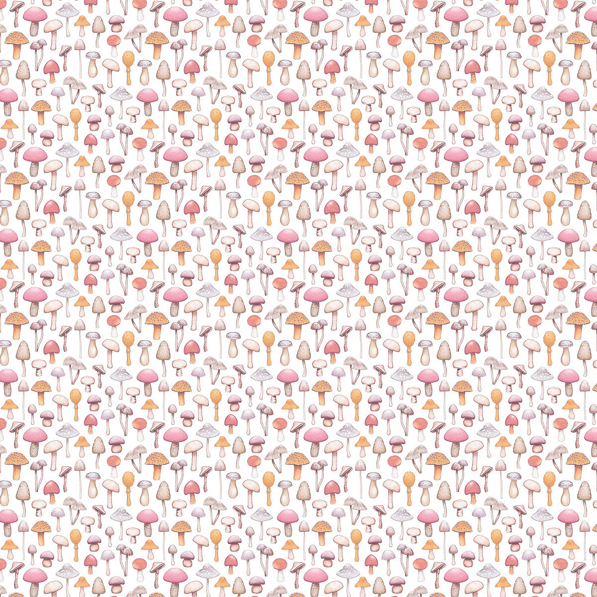 Ciao Bella Enchanted Land Paper Pad 12"x12" 12/Pkg
