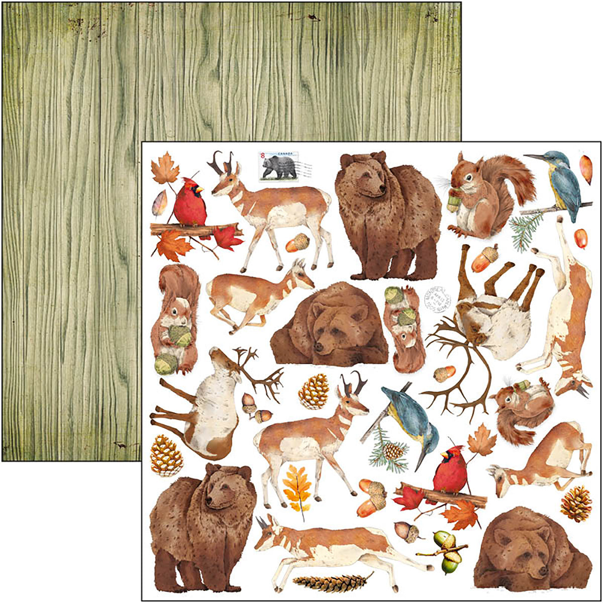 Ciao Bella Into The Wild Patterns Pad 12"x12" 8/Pkg