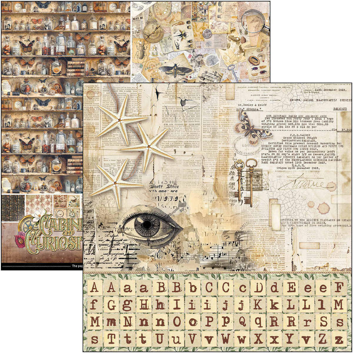 Cabinet Of Curiosities Patterns Pad 12"x12" 8/Pkg