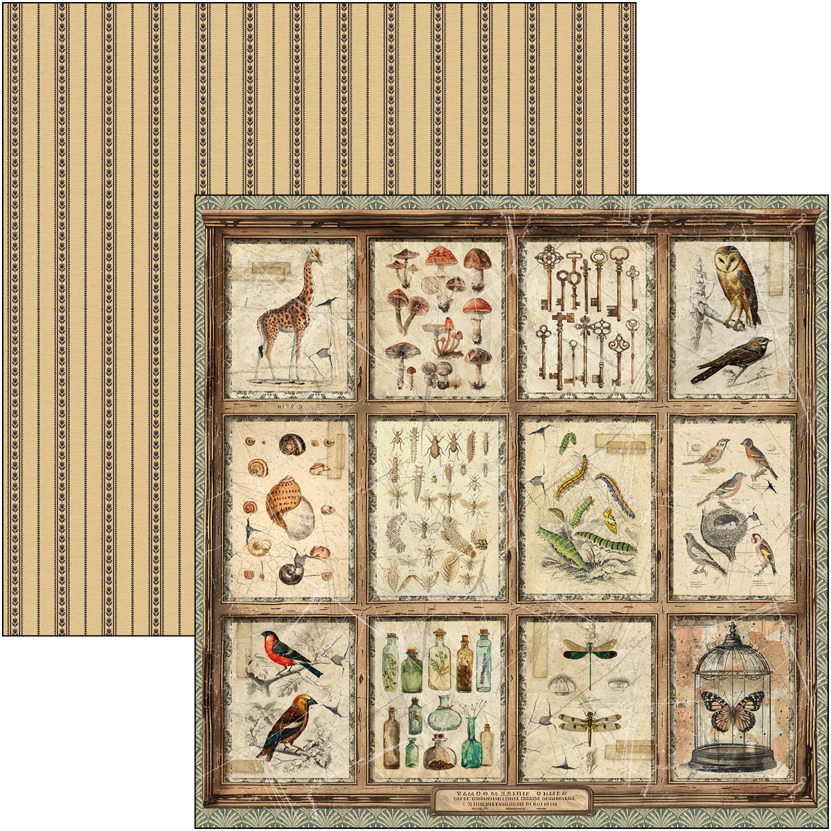 Cabinet Of Curiosities Patterns Pad 12"x12" 8/Pkg