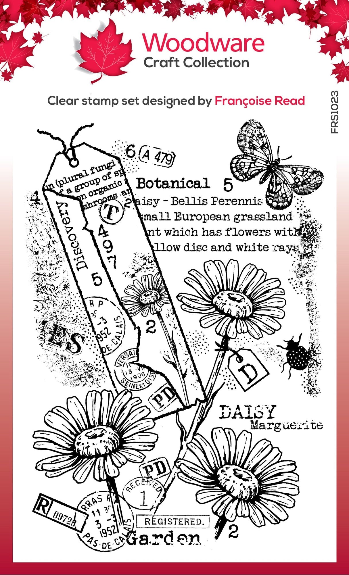 Woodware Clear Singles Garden Daisies 4 in x 6 in Stamp Set