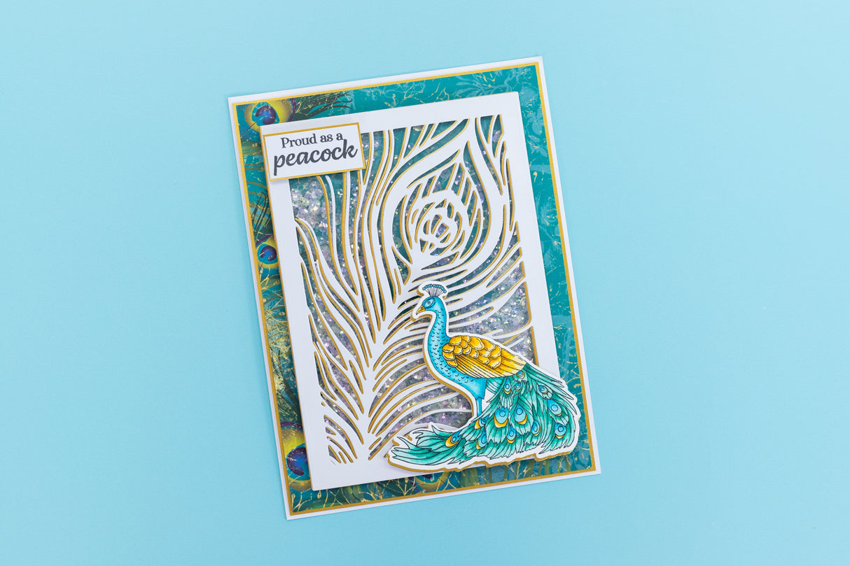 Graceful Plumes Stamp & Die - Proud Peacock