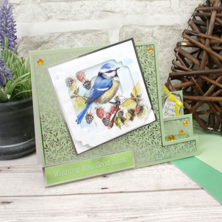 Birds in Focus Pocket Pad