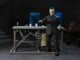 Universal Monsters Frankenstein Accessory Set