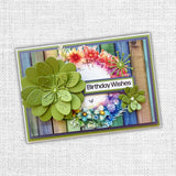 Rainbow Twirl 2.0 Die Cuts 31076
