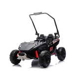 24V X-Raptor 2-Seater Kids Ride-On 4X4 UTV with EVA Rubber Wheels, Music Player & RC