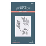 Evergreen Branches Press Plate from the BetterPress Christmas Collection