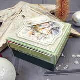 Frosted Dreams Adorable Scorable Selection