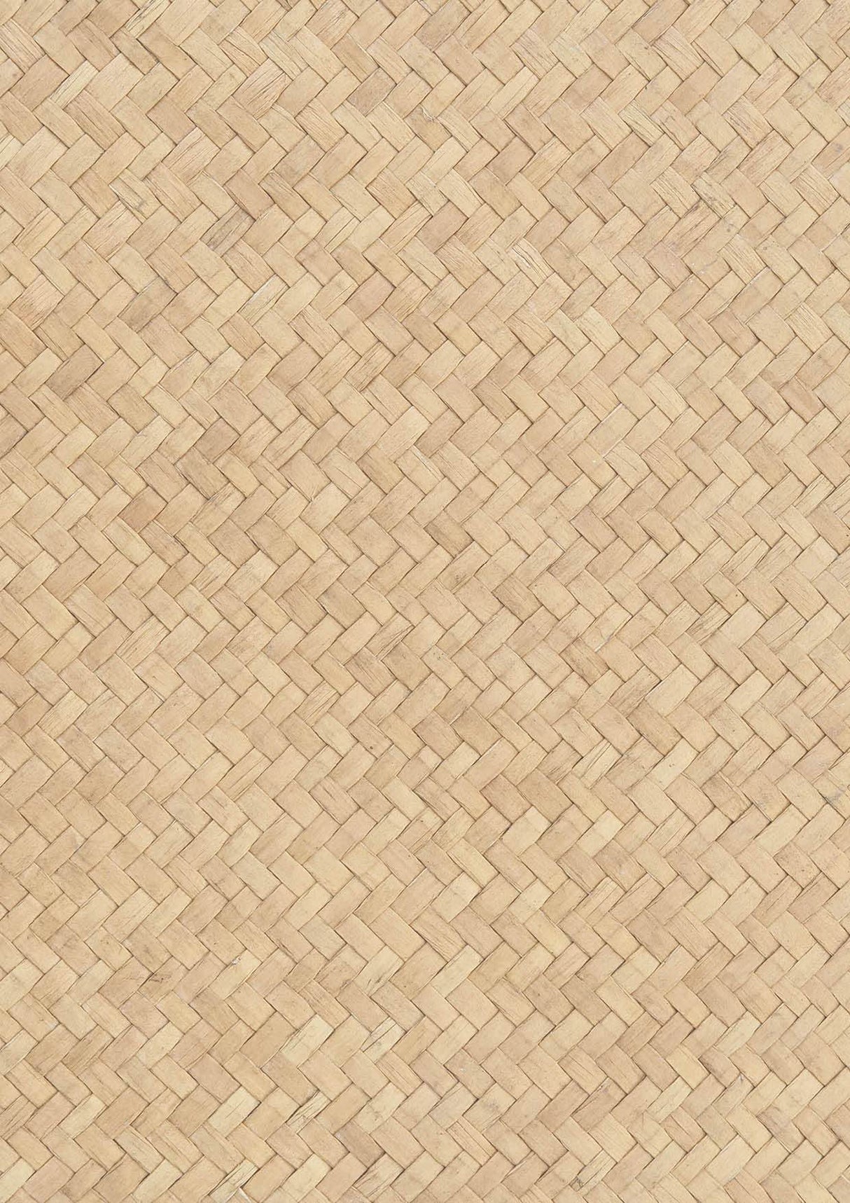 BG Paper 170gr Celebrate New Beginnings 210x297mm nr.335