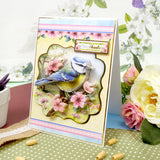 Beautiful Birds Designer Deco-Large Collection