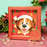 Square Pocket Pad Box Frames