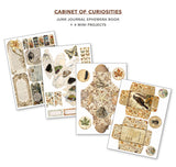 Cabinet Of Curiosities Junk Journal & Ephemera Book A4 32/Pkg