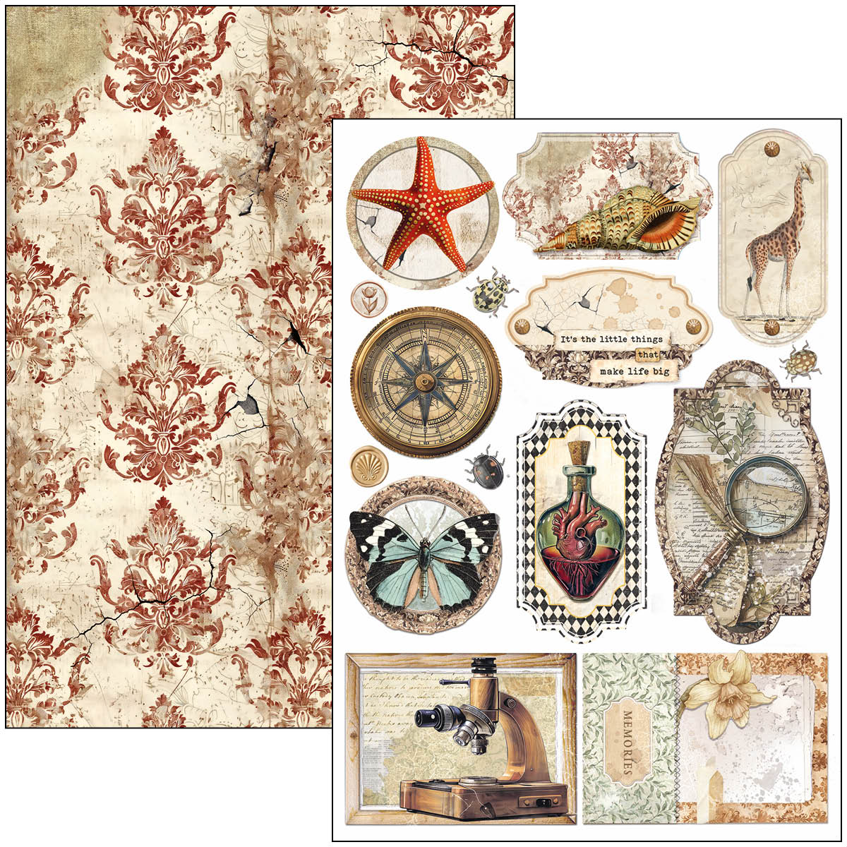 Cabinet Of Curiosities Creative Pad A4 9/Pkg