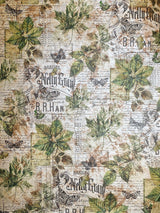 Deluxe Cabinet Of Curiosities Paper Pearl-Copper A4 5/Pkg