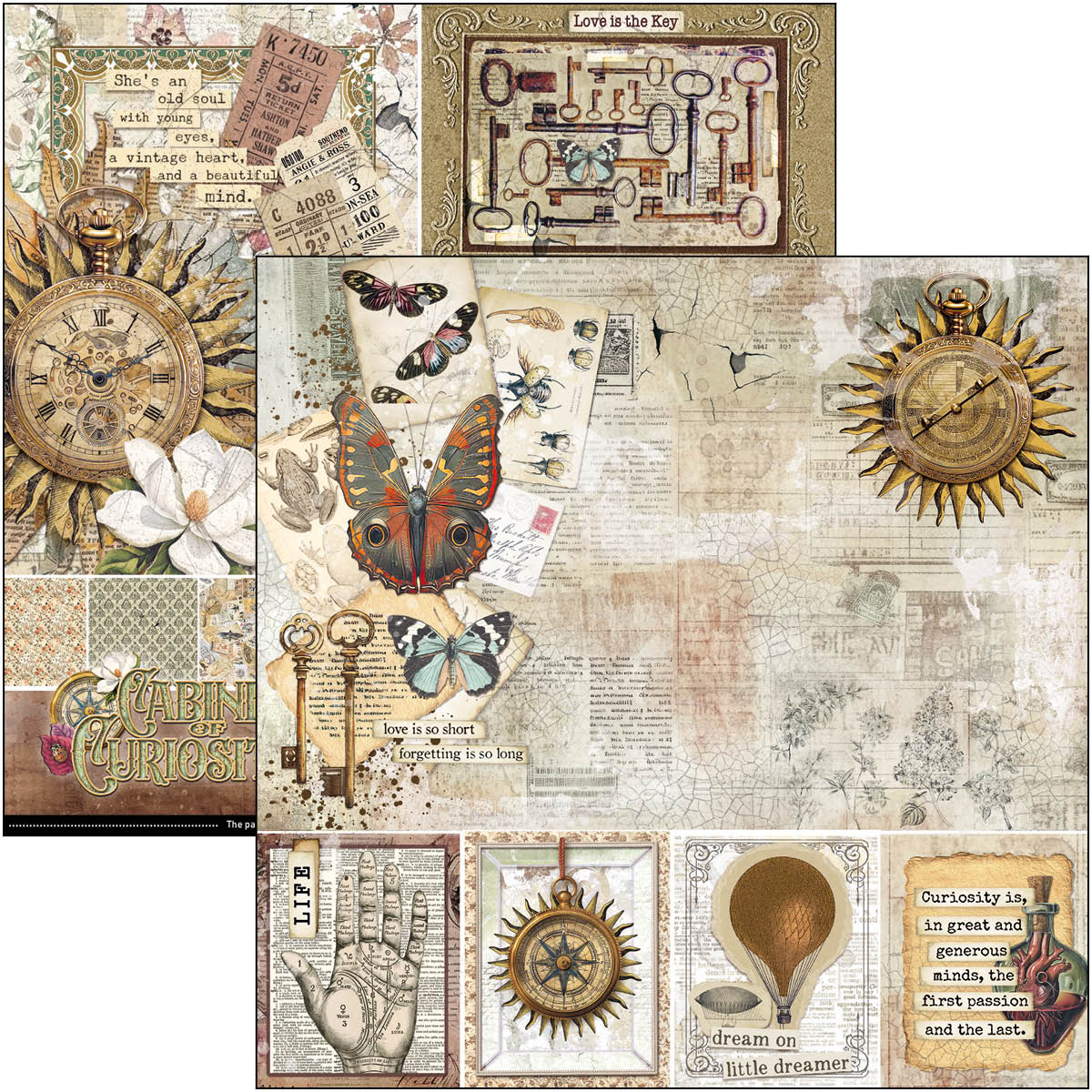 Cabinet Of Curiosities Pad 8"x8" 12/Pkg
