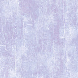 Ciao Bella Enchanted Land Paper Pad 12"x12" 12/Pkg