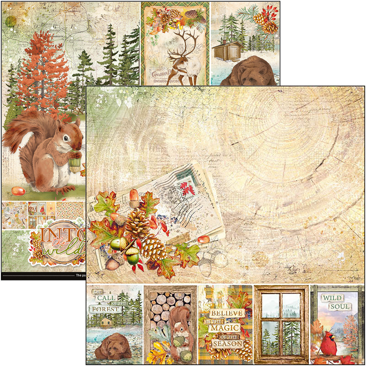 Ciao Bella Into The Wild Paper Pad 12"x12" 12/Pkg