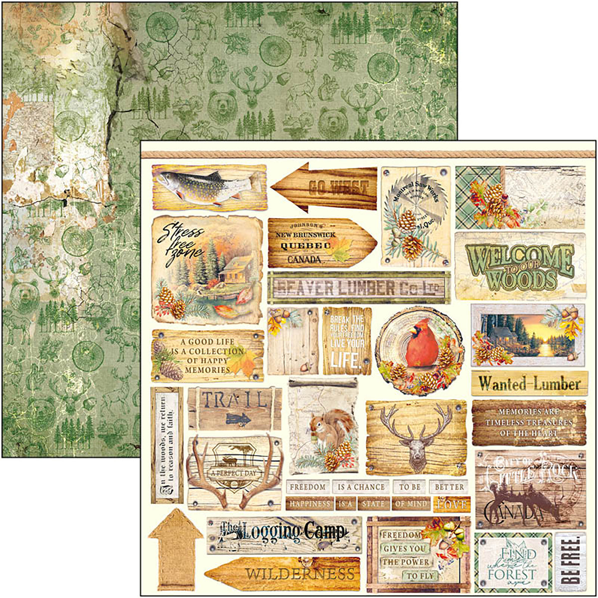 Ciao Bella Into The Wild Paper Pad 12"x12" 12/Pkg