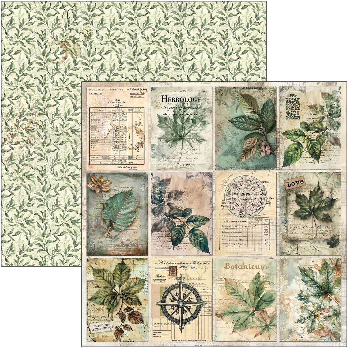 Cabinet Of Curiosities Paper Pad 12"x12" 12/Pkg