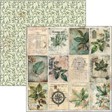 Cabinet Of Curiosities Paper Pad 12"x12" 12/Pkg