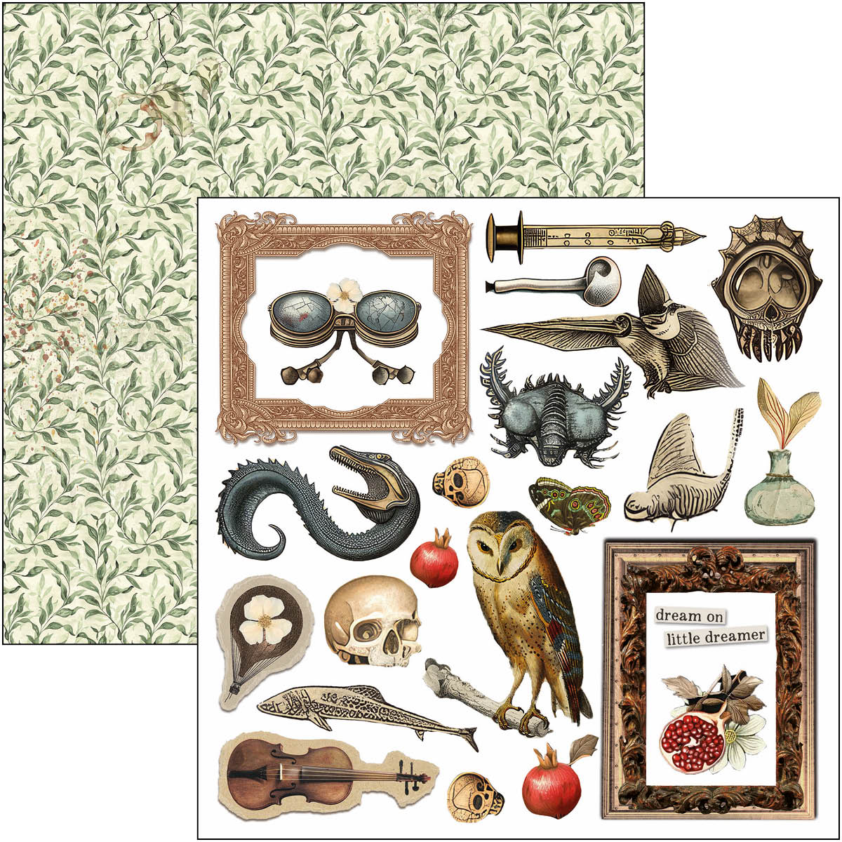 Cabinet Of Curiosities Fussy Cut Pad 6"x6" 24/Pkg