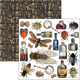Cabinet Of Curiosities Fussy Cut Pad 6"x6" 24/Pkg