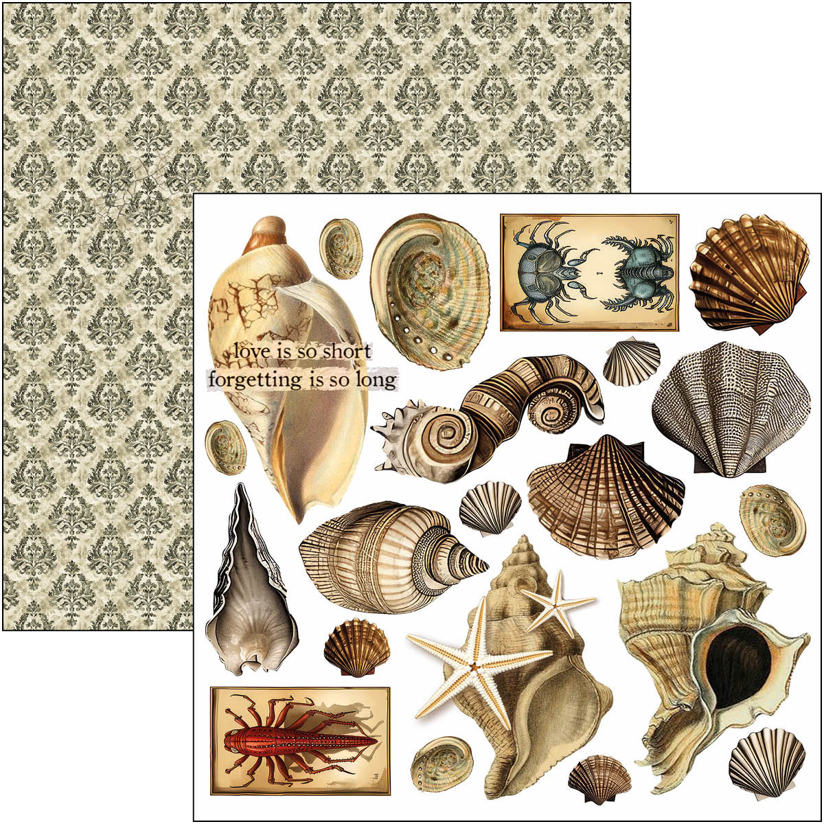 Cabinet Of Curiosities Fussy Cut Pad 6"x6" 24/Pkg