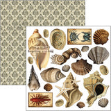 Cabinet Of Curiosities Fussy Cut Pad 6"x6" 24/Pkg