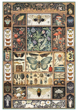 Rice Paper A4 MIXED 4/Pkg Cabinet Of Curiosities