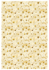 Rice Paper A4 MIXED 4/Pkg Celestial