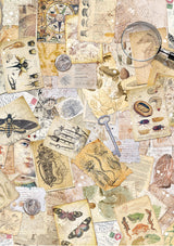 Rice Paper A5 MIXED 8/Pkg Cabinet Of Curiosities