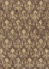 Rice Paper A5 MIXED 8/Pkg Cabinet Of Curiosities