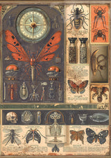 Rice Paper A5 MIXED 8/Pkg Cabinet Of Curiosities