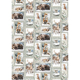 Rice Paper A5 MIXED 8/Pkg Forest Tales