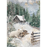 Rice Paper A5 MIXED 8/Pkg Forest Tales