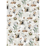 Rice Paper A5 MIXED 8/Pkg Forest Tales