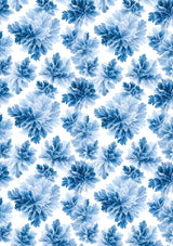 Rice Paper A5 MIXED 8/Pkg Frozen Land