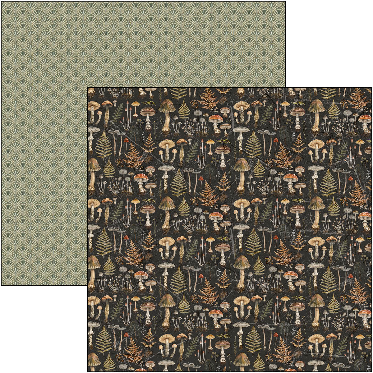 Cabinet Of Curiosities Patterns Pad 12"x12" 8/Pkg