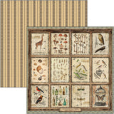 Cabinet Of Curiosities Patterns Pad 12"x12" 8/Pkg