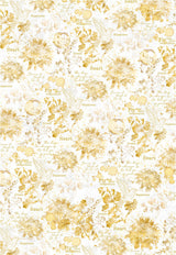 Ciao Bella Vellum Indigo Paper Patterns A4 6/Pkg