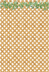 Ciao Bella Vellum Farmhouse Garden Paper Patterns A4 6/Pkg