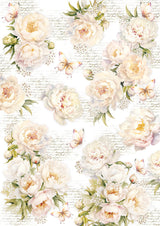 Vellum Always & Forever Paper Patterns A4 6/Pkg