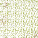 Vellum Cabinet Of Curiosities Fussy Cut 6"x6" 6/Pkg