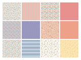 Crafters Companion Template and Paper Envelope Bumper Pack