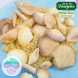 Seashells Silicone Mould